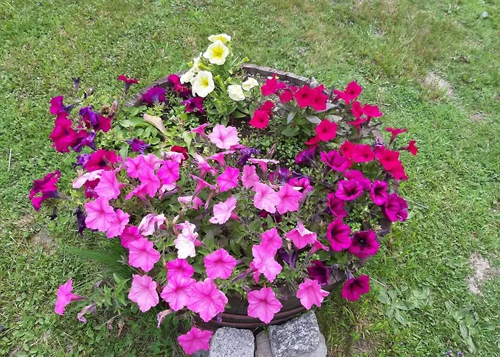 Il Pettirosso - Panoramico Con 3 In דירה